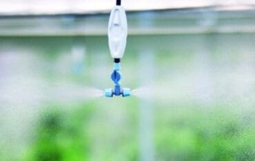 Hệ thống tưới phun sương