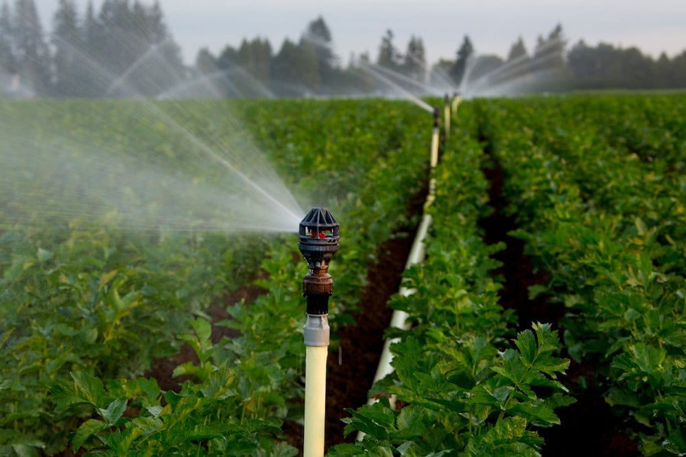 Tưới cây tự động