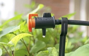 hệ thống tưới nhỏ giọt