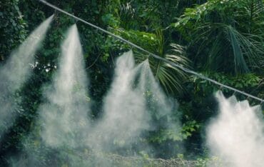 Hệ thống tưới phun sương cho rau